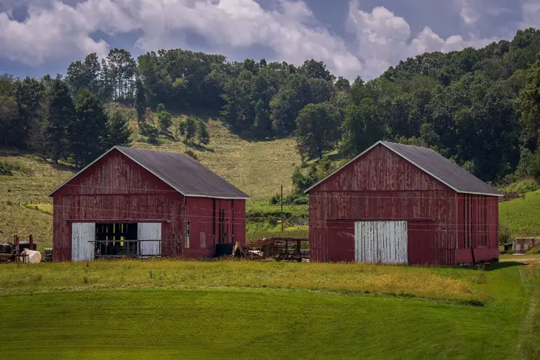 Two red barns in a green field